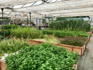 FADA Ferme Aquaponique de lAbbaye